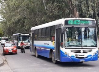 El domingo el servicio de colectivos será gratuito para votantes
