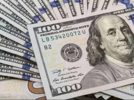 Economistas argentinos: voto para Massa y rechazo a la dolarización