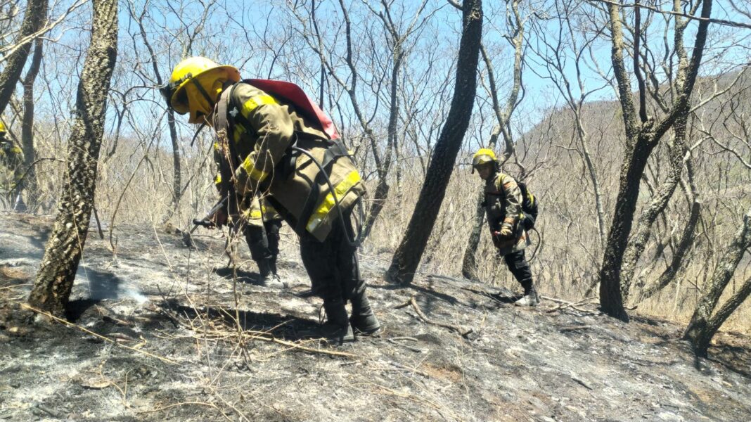 WhatsApp Image 2023-11-18 at 12.53.48