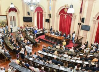 Diputados aprobó la prórroga sanitaria y el pedido de ley de derribo