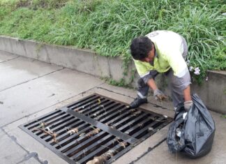 Reiteran recomendaciones para evitar obstrucciones en desagües pluviales