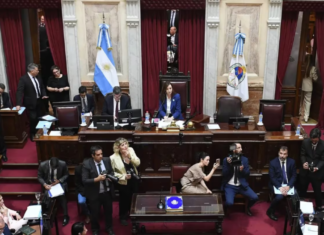 El Senado conformó siete comisiones sin el kirchnerismo