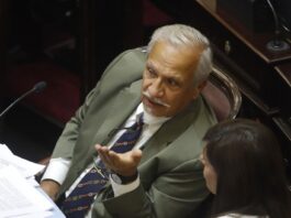 Los gobernadores patagónicos y Romero arman un bloque y complican a Villarruel