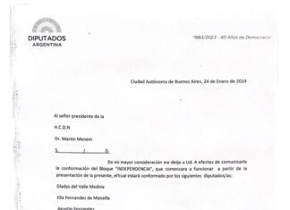 Desacuerdo en Unión por la Patria: tres diputados abandonan el bloque