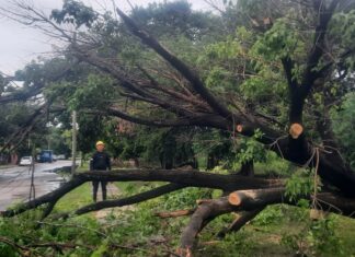 Se activó el Comité Operativo de Emergencias para asistir a familias que sufrieron anegamientos en sus viviendas