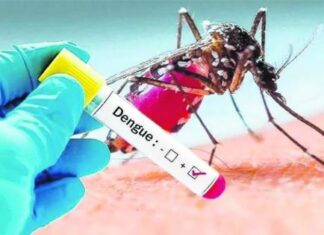 La vacunación contra el dengue en Capital inicia el próximo lunes