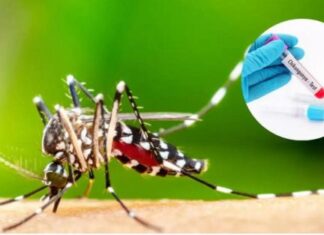 Salud Pública confirma el primer caso de fiebre Chikungunya de la temporada