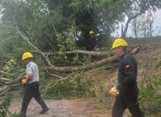 Tormenta en Salta: la zona oeste la más perjudicada