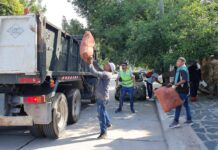 Lucha contra el dengue: se realizó un nuevo operativo en zona sudeste