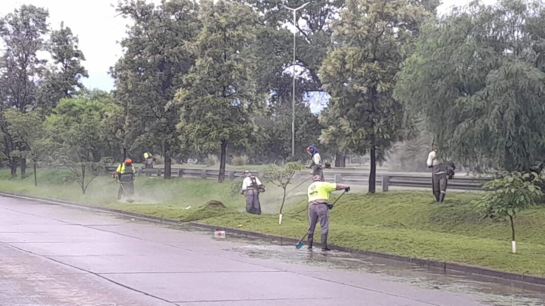 desmalezado-av-tavella-1-1536x864