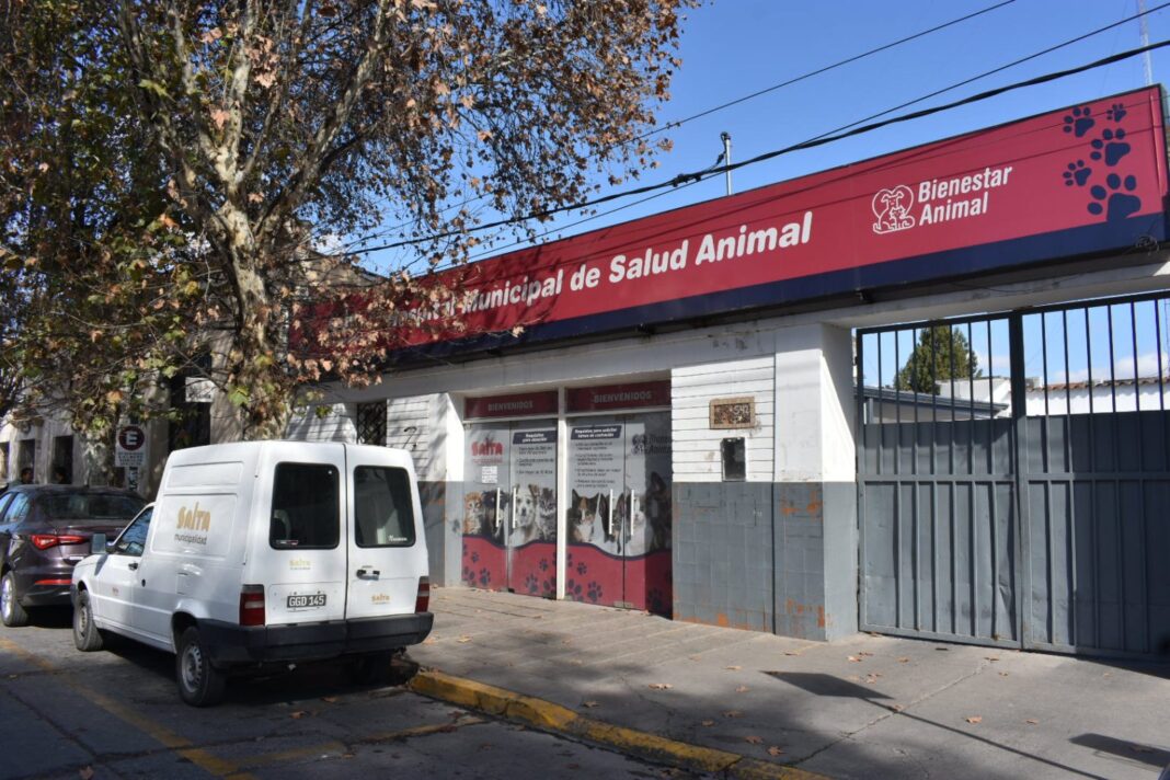 hospital-de-salud-animal-13-1536x1024