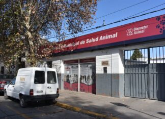 ¡Atención! Así funcionarán los servicios municipales este fin de semana largo