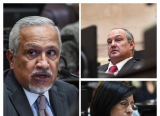 ¿Cómo votaron los senadores salteños el DNU de Milei?