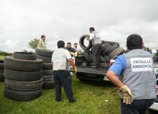 Neumatón: Hoy continúa la recolección de neumáticos en Campo La Cruz