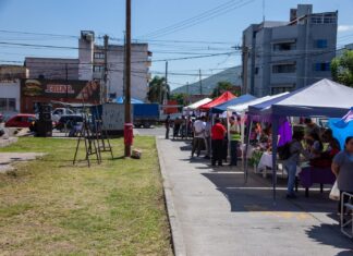 La Municipalidad recuperó un nuevo espacio verde, funcionará como paseo de compras