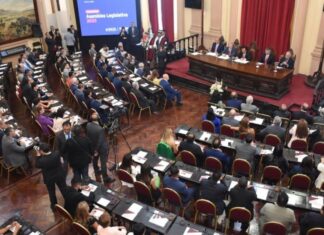 Diputados aprobaron pedidos de residencia para madres en hospitales y soluciones para viviendas con fallas del IPV