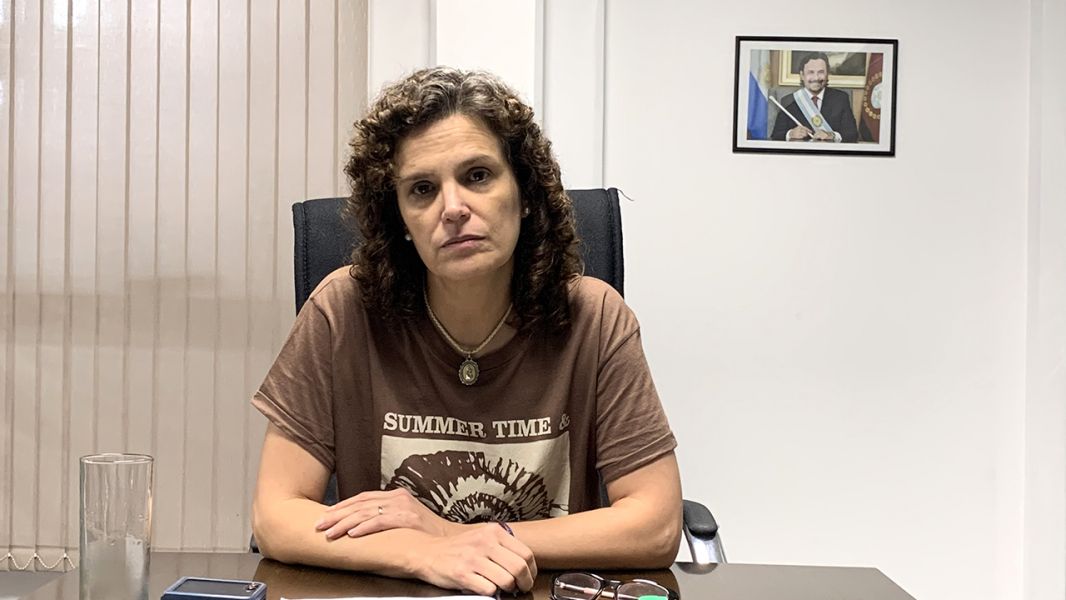 94963-salta-recurrio-a-la-corte-suprema-de-justicia-de-la-nacion-por-el-fondo-de-incentivo-docente