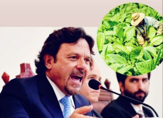 Sáenz criticó al Ejecutivo por quitar el capítulo tabacalero de la Ley Bases y ceder frente al lobby del “Señor Tabaco”