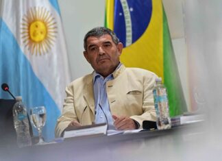 Olmedo fue destituído de la presidencia del Parlasur