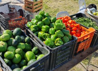 ¡Atención vecinos! el “mercado en tu barrio” llega a plaza España