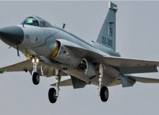 Petri formalizó la compra de 24 aeronaves F-16