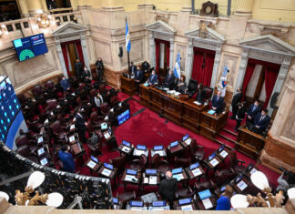 Ley de bases: Comienza el debate en el Senado