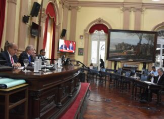El senado aprobó en definitiva la ley de transporte
