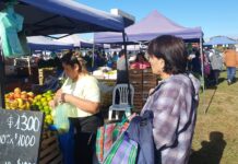 “El Mercado en tu Barrio” llega al Delmi con promociones exclusivas