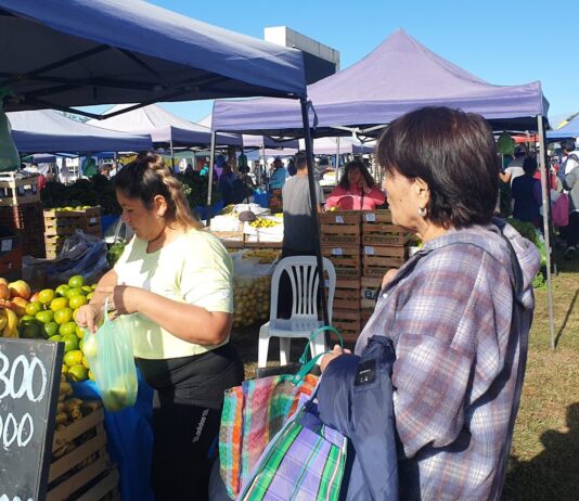“El Mercado en tu Barrio” llega al Delmi con promociones exclusivas