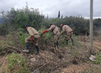 La municipalidad continúa realizando limpieza de terrenos baldíos