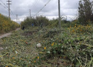 Se realizó la limpieza de un nuevo baldío en Finca Valdivia