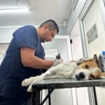 La próxima semana, los Móviles de Castración recorrerán nuevos barrios