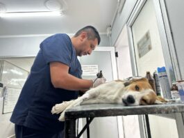 La próxima semana, los Móviles de Castración recorrerán nuevos barrios