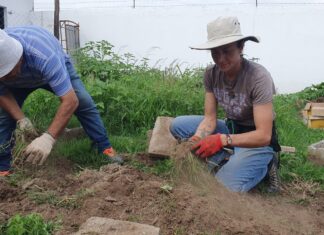 Mañana habrá capacitación y trueque de semillas y plantines