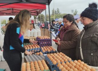 Exitosa edición de la “Expo Mercado” en el Martearena