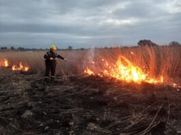 El alerta por incendios forestales se mantendrá en Extremo durante toda la semana