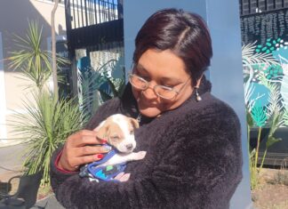Se viene una nueva jornada de adopciones en el shopping