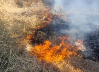 La Municipalidad brinda recomendaciones para evitar incendios forestales