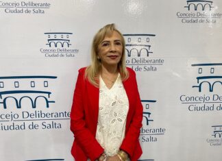 Concejales aprobaron la modificación de la norma N°15.921 en relación a la Tasa Única de Aeropuertos