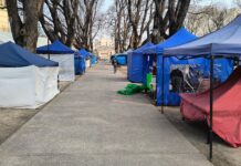 Se ultiman detalles para la Feria del Milagro 2026