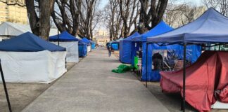 Se ultiman detalles para la Feria del Milagro 2026