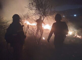 Piden declarar la emergencia en la Patagonia por los incendios