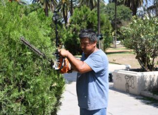 Comenzaron las tareas de parquización y acondicionamiento integral en plaza Güemes