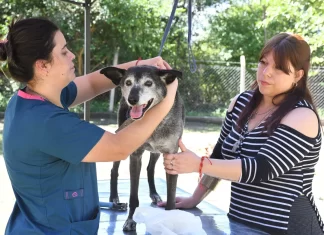 El Centro de Adopciones cumplió 8 años y renovó su compromiso como el primer día