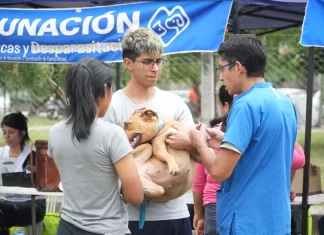 “La Muni en tu barrio” volvió a ser un éxito en zona sudeste