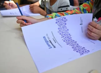 Pruebas Aprender: casi la mitad de los alumnos de primaria no logra niveles mínimos de aprendizajes