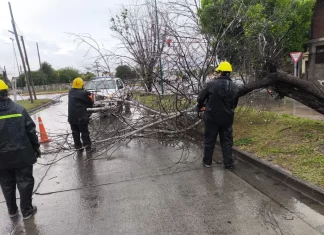 Lluvia en Salta: el Sistema de Emergencias 105 intervino en 16 incidentes