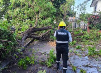 El municipio intervino por diferentes incidentes registrados durante la lluvia de anoche