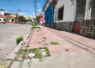 La municipalidad de Salta lanza el plan «Mi Vereda»