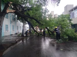 El sistema de Emergencias 105 registró seis incidentes durante la tormenta